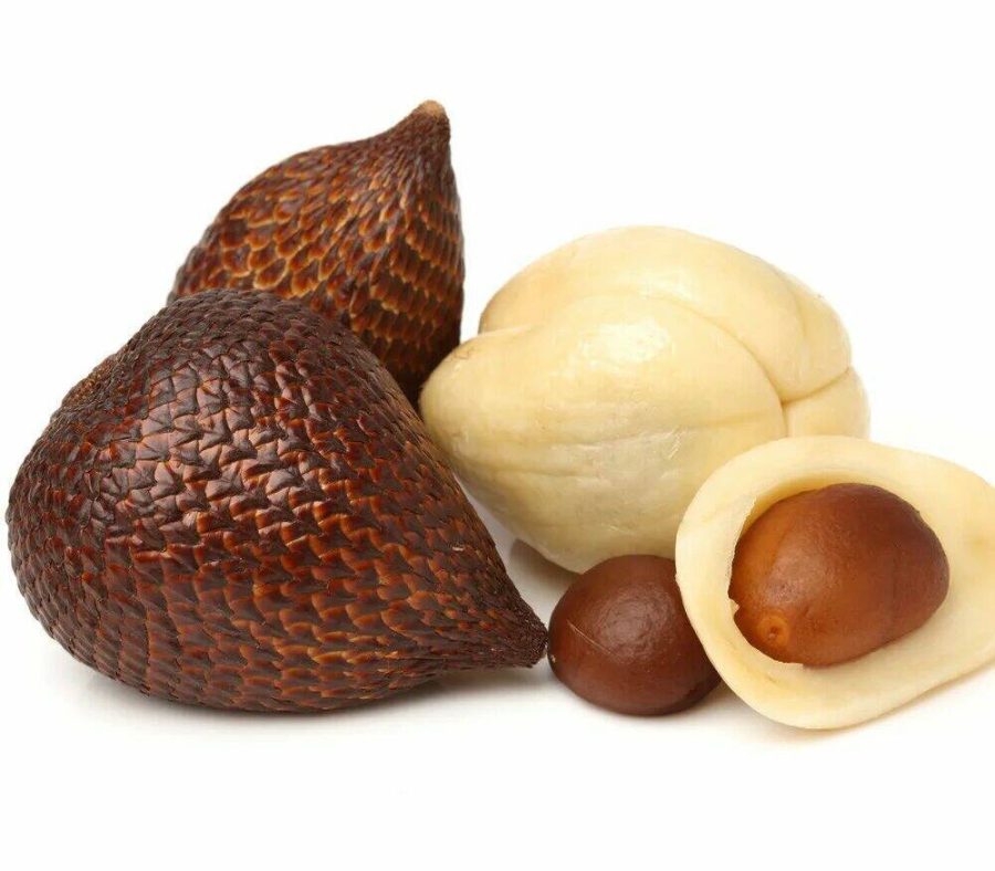 Salak World Snakeskin Fruit, 20 Seeds