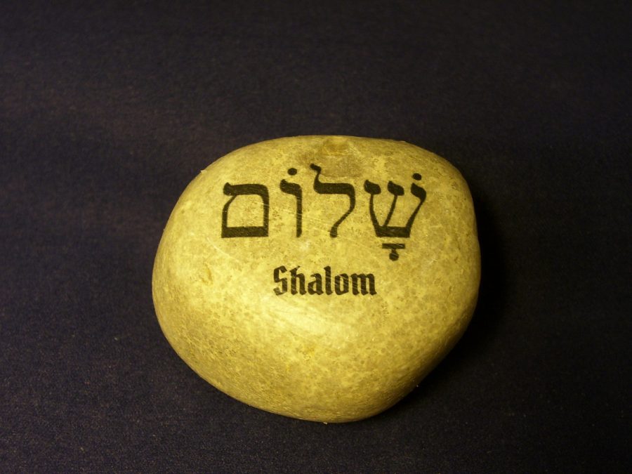 Shalom Hebrew Peaceful Peace Judaic Jewish Stone Rock OOAK Torah Scripture Judai