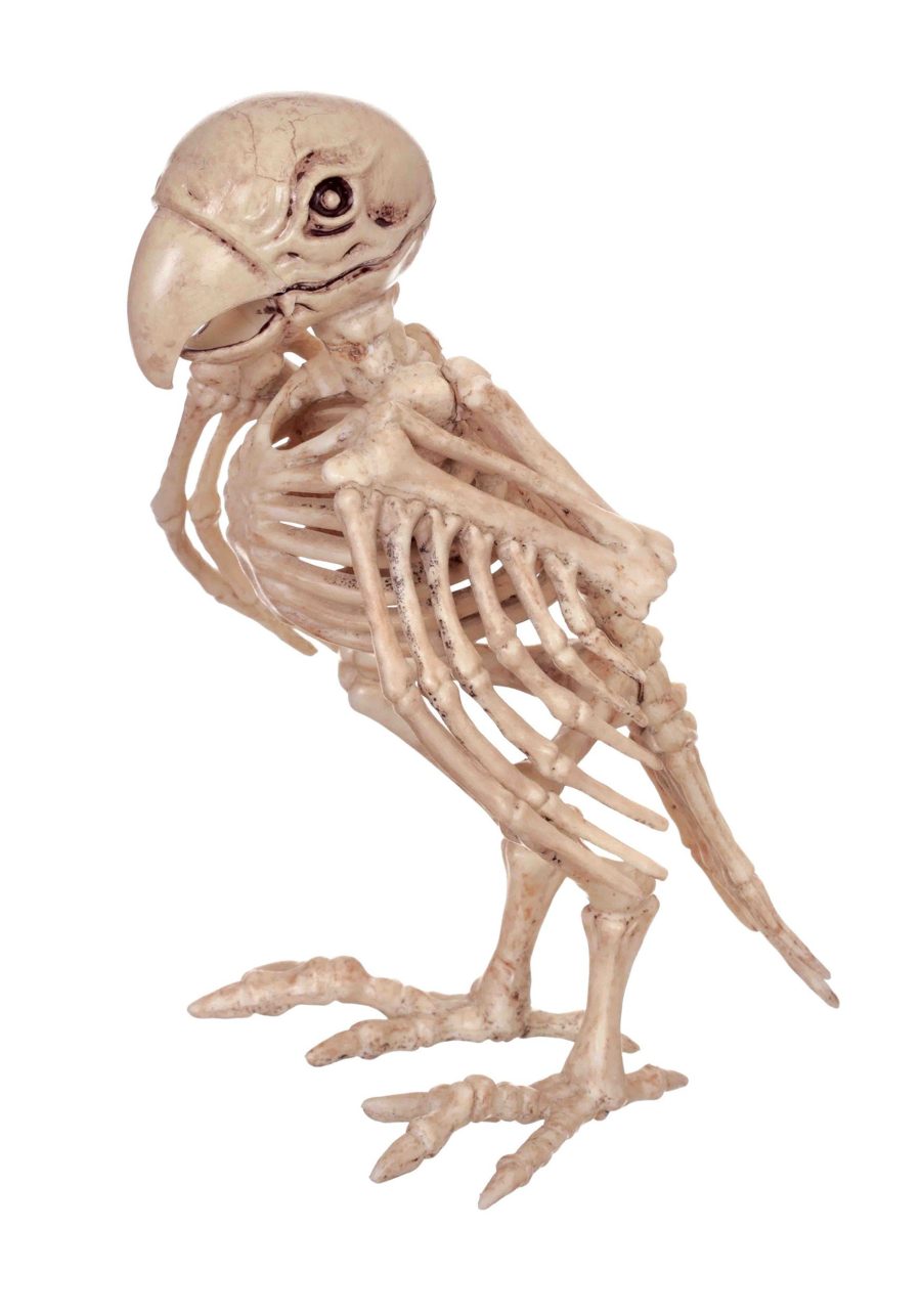 Skeleton Parrot D??cor