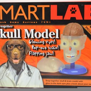 SmartLab Snap- Together Skull Model ----New