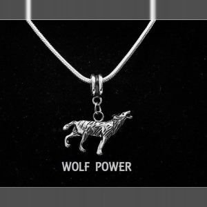 Voodoo Wolf Power Physical Strength & Psychic Enhancer $ LUCK IQ Energy Lifting