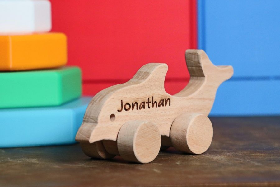 Wooden Dolphin Toy