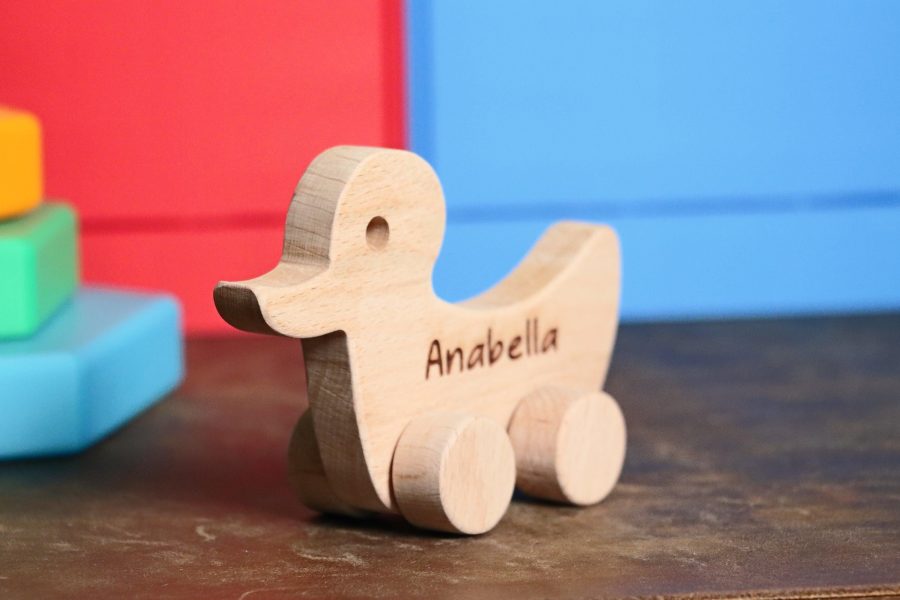 Wooden Duck Toy