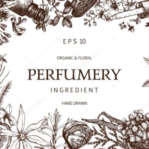 design for cosmetics and perfumery