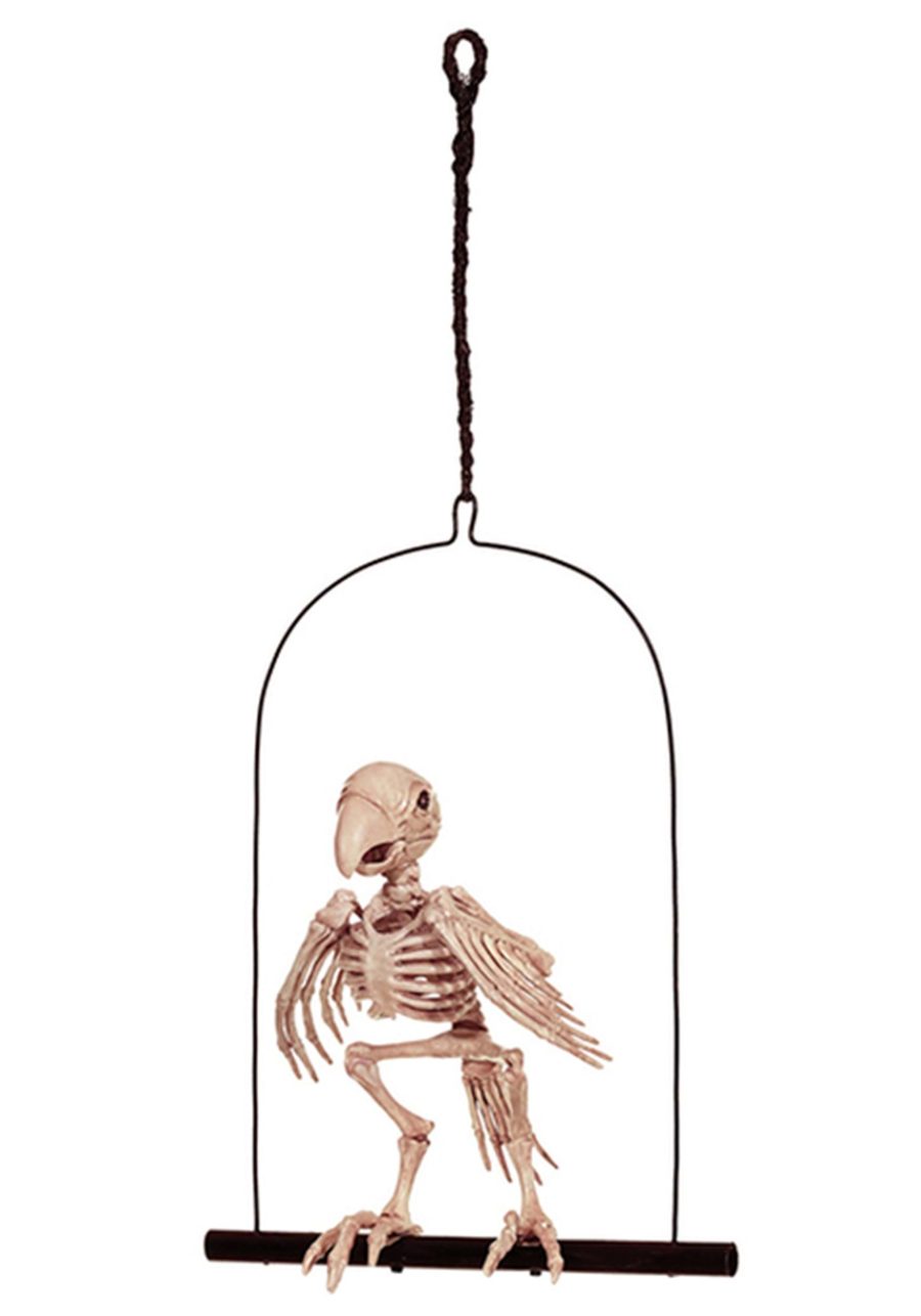 12.5 Inch Perched Skeleton Parrot Prop