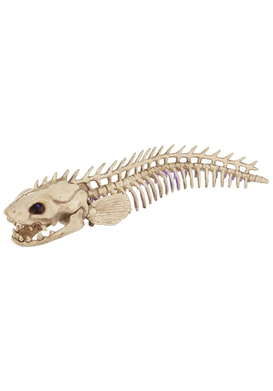 19.25 Inch Light Up Electric Skeleton Eel Decoration