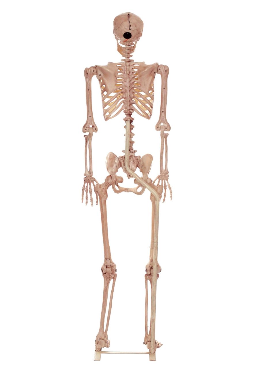 3.5FT Metal Stand for Life Size Human Skeleton Prop