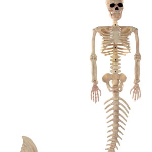 48 Inch Mermaid Skeleton Decoration