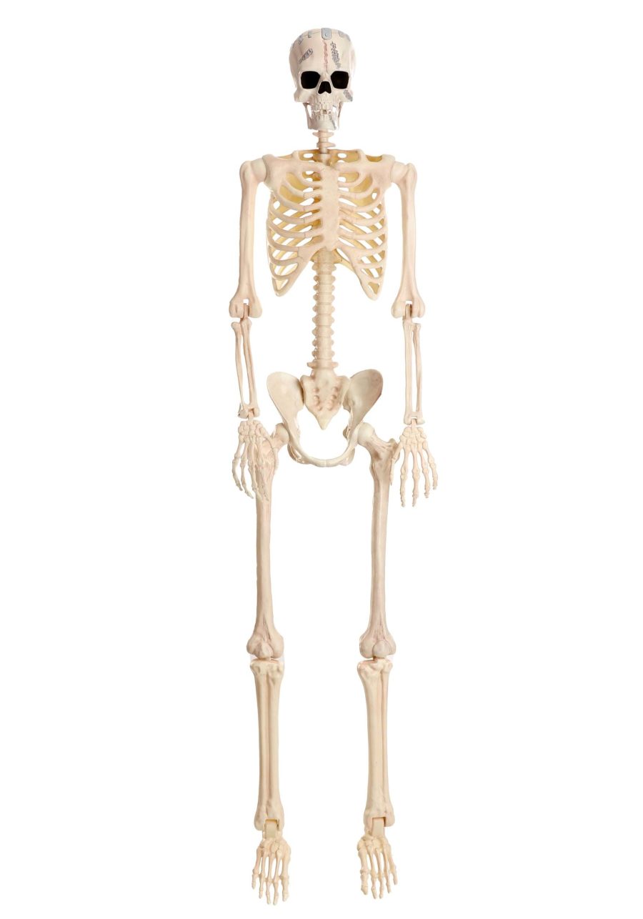 6.1FT Poseable Frankenstein Skeleton Decoration