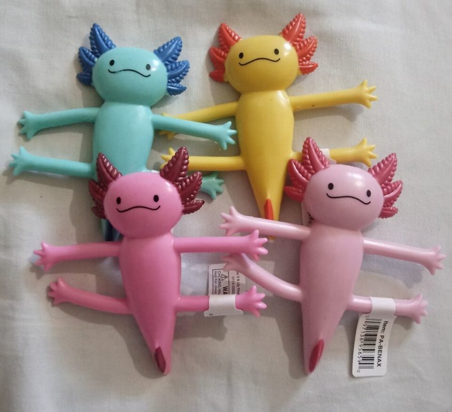 Axolotls 4 PC Colorful Playful Set