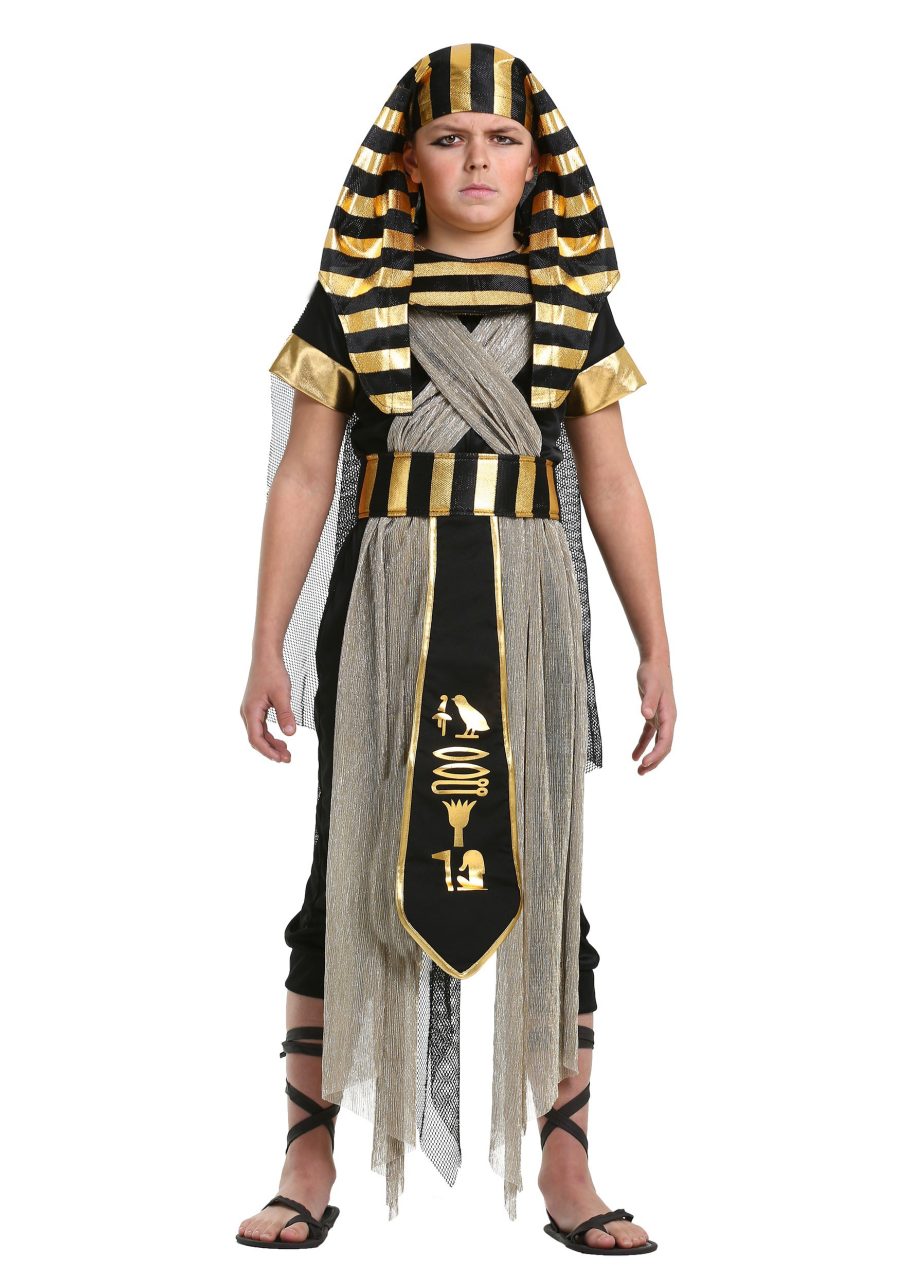 Boys All Powerful Pharaoh Costume