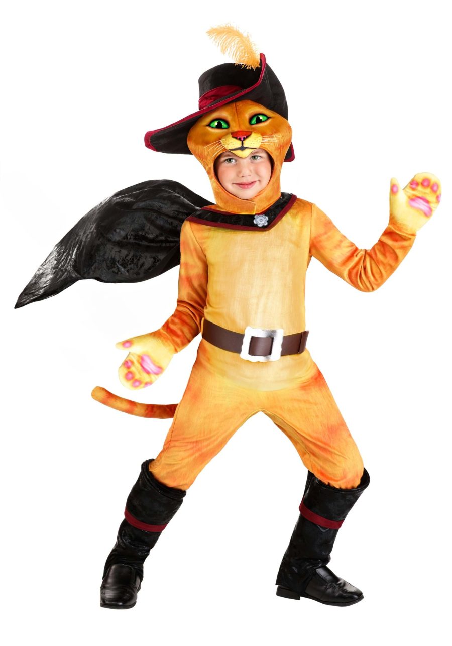 Boy's Toddler Shrek Puss in Boots Costume