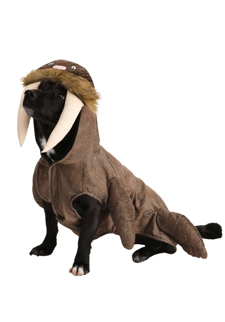 Brown Walrus Pet Costume