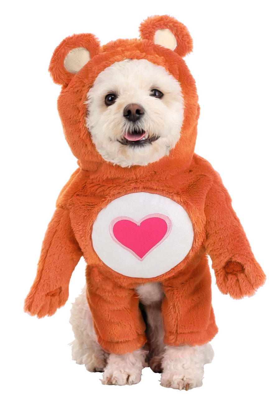 Care Bears Tenderheart Bear Dog Costume