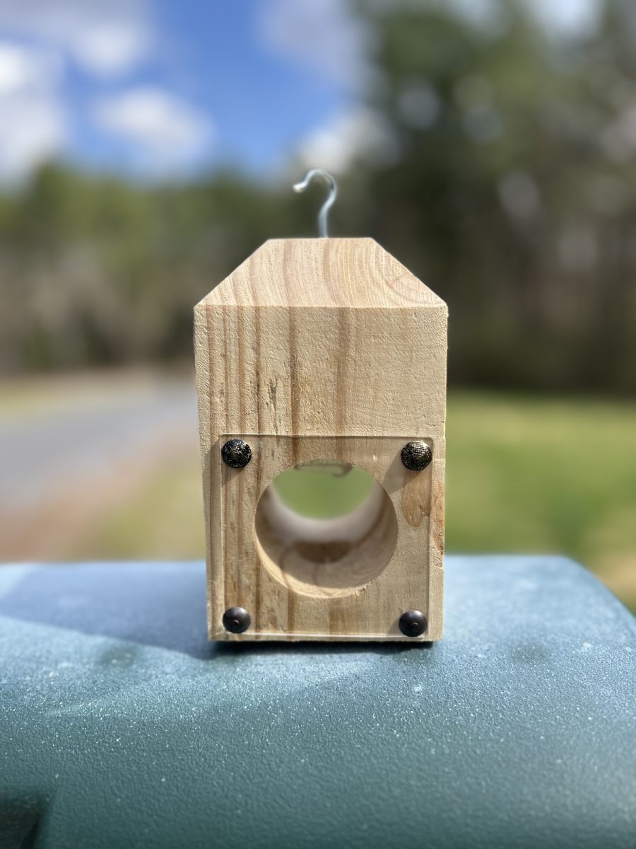 Carpenter Bee Trap- No Jar Design