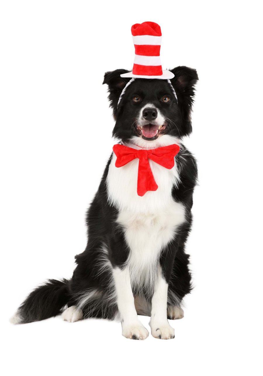 Cat in The Hat Pet Costume