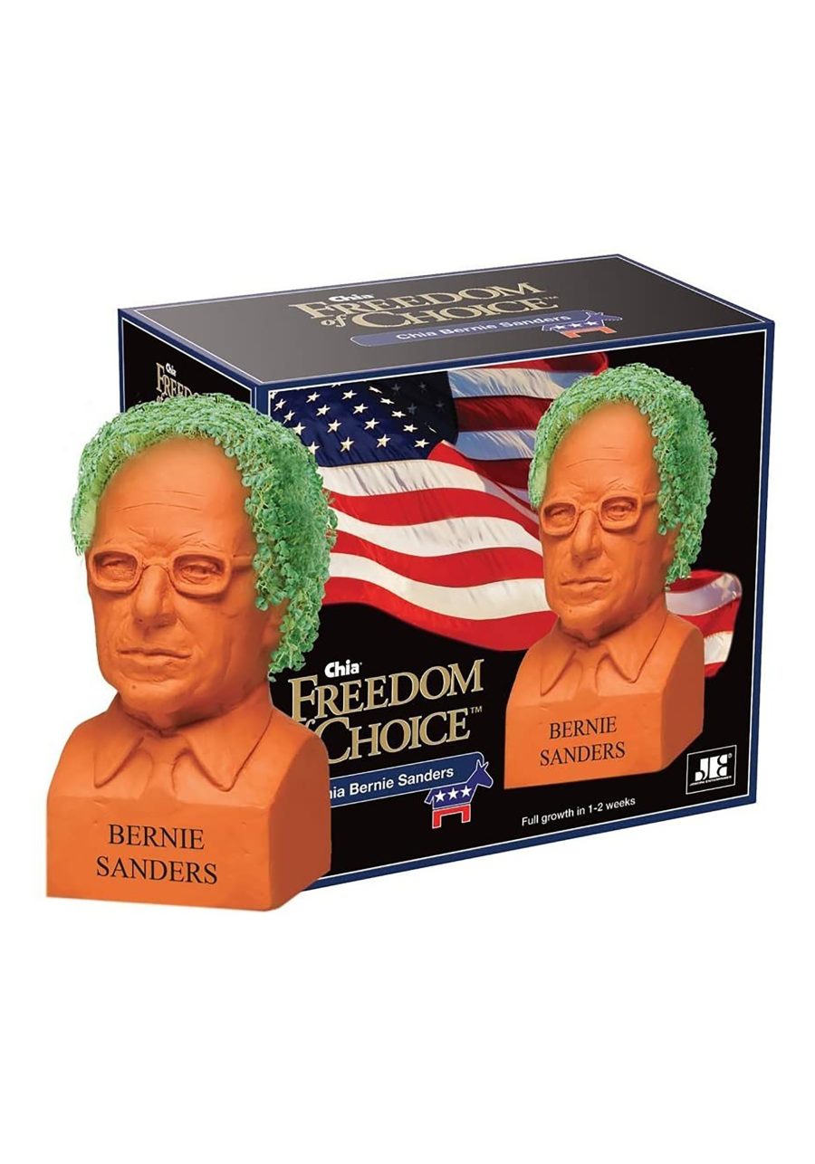 Chia Pet Bernie Sanders