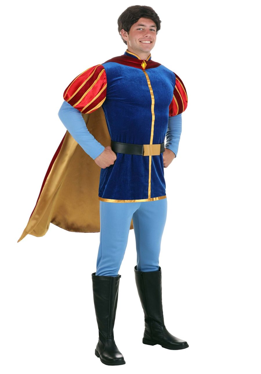 Disney Sleeping Beauty Prince Phillip Men's Costume