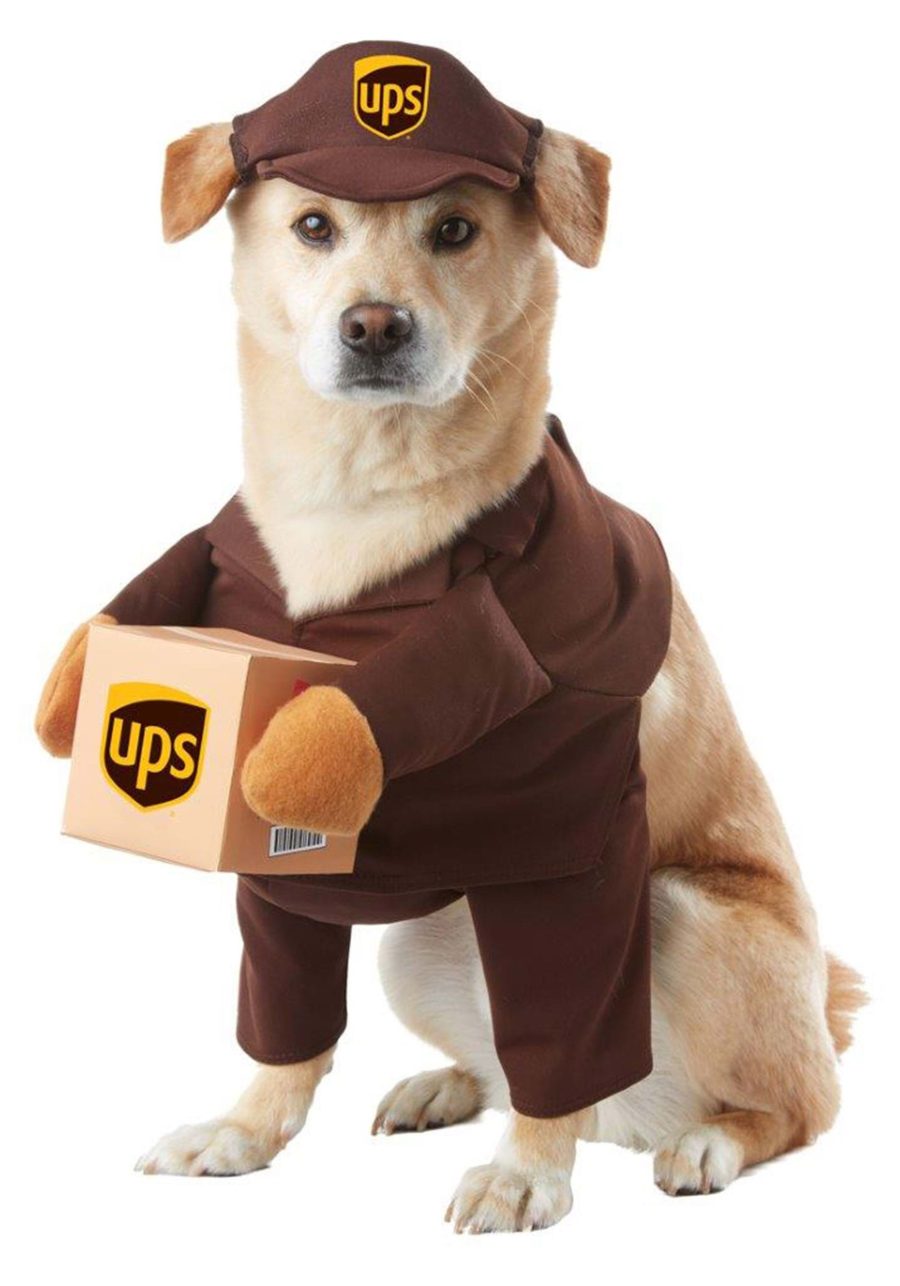 Dog UPSCostume