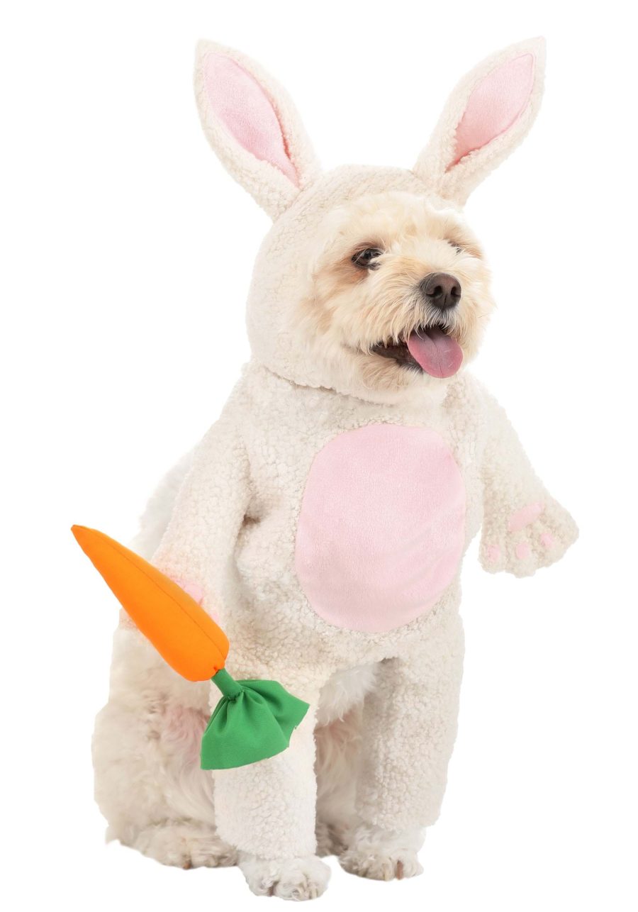 Fluffy Bunny Pet Costume