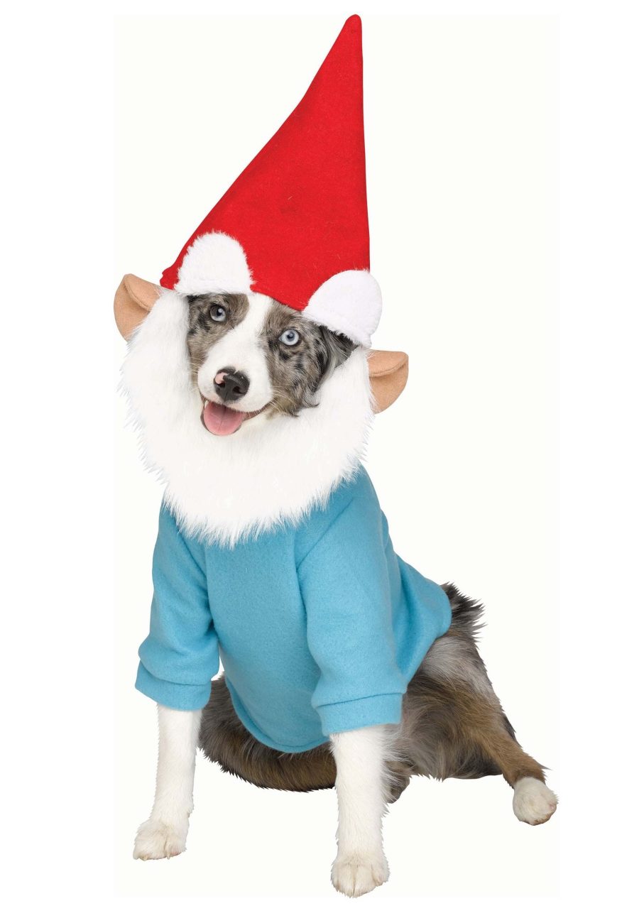 Garden Gnome Pet Costume