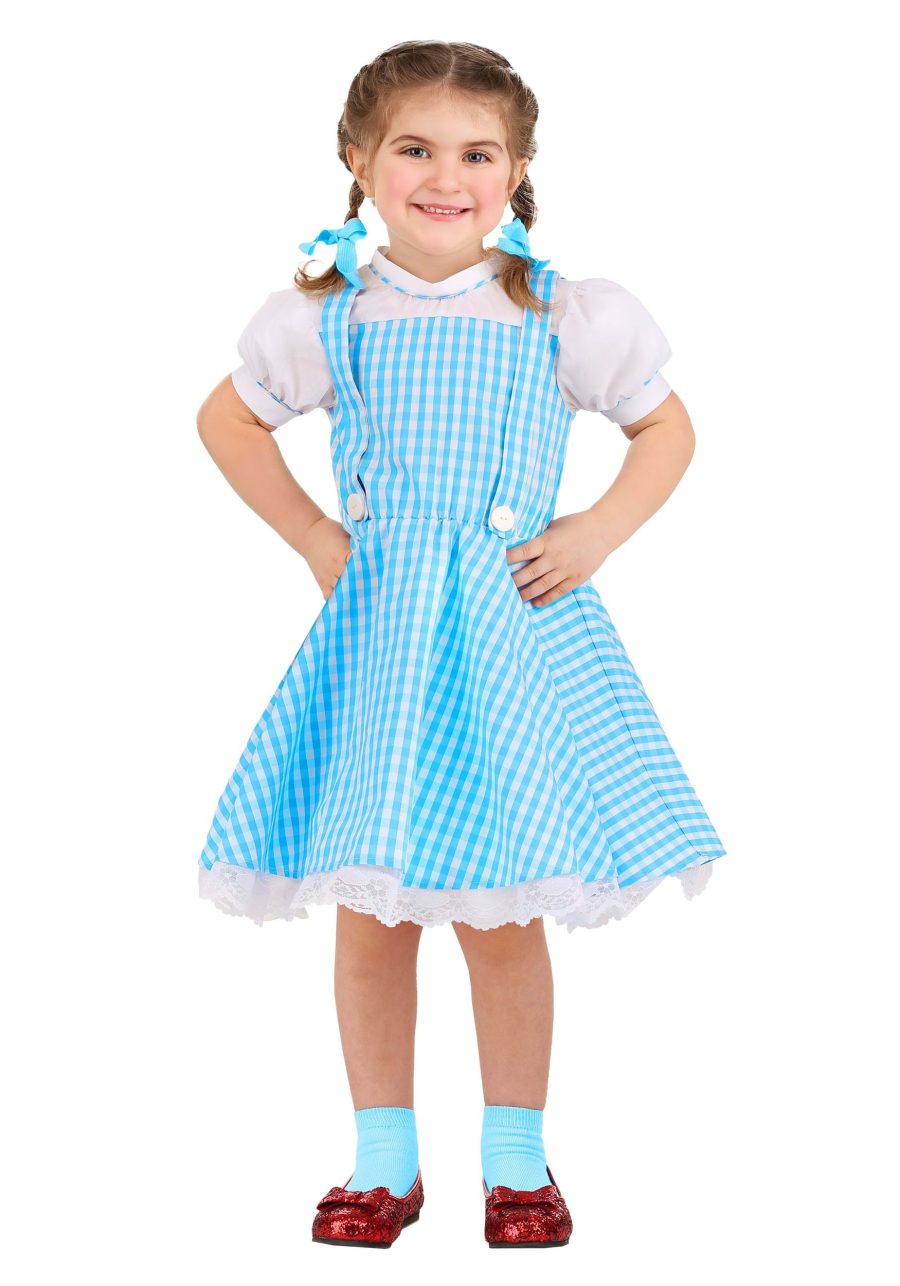 Girl's Toddler Classic Dorothy Wizard of Oz Costume