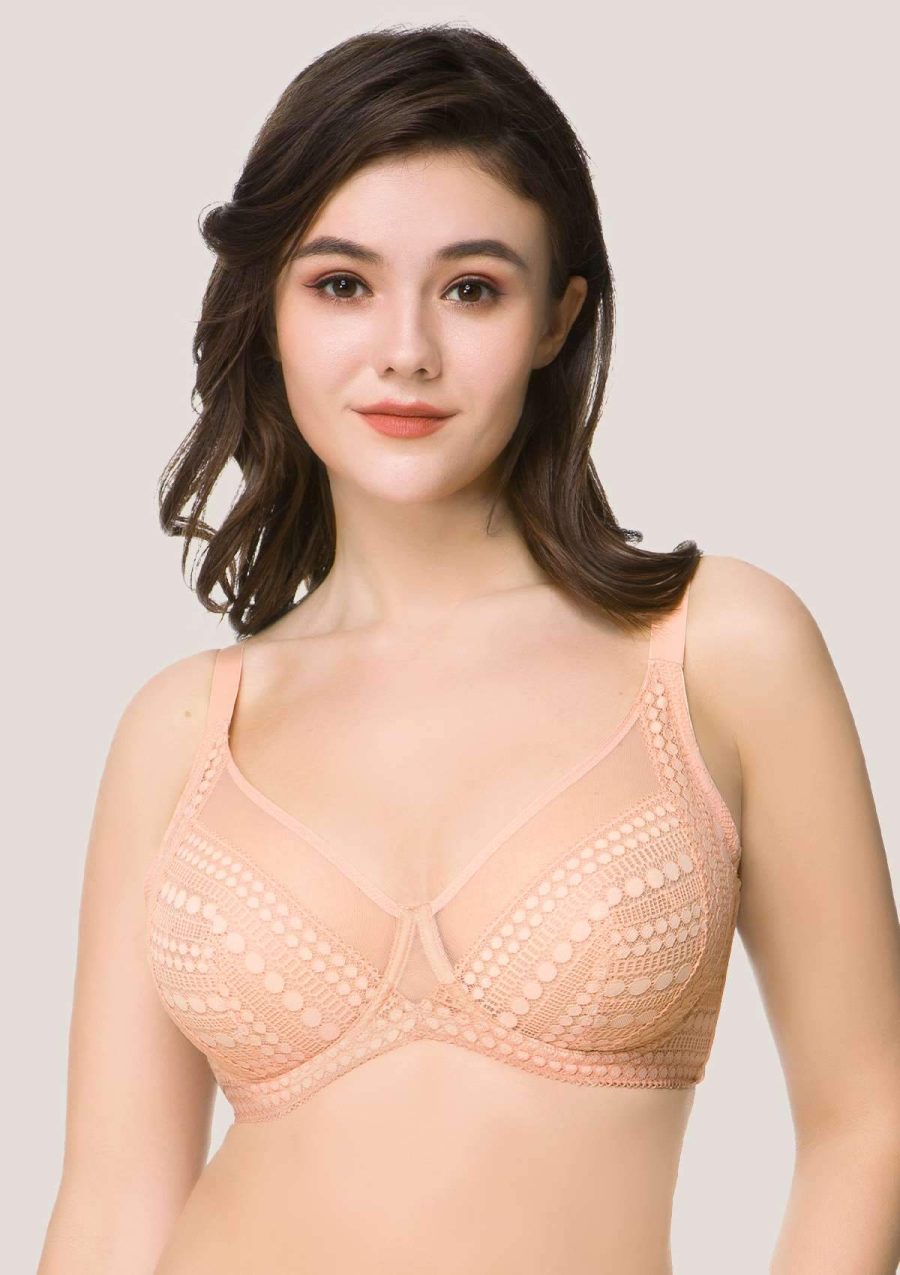 HSIA Heroine Lace Bra and Panty: Best Full Figure Minimizer Bra - Rose Cloud / 34 / C