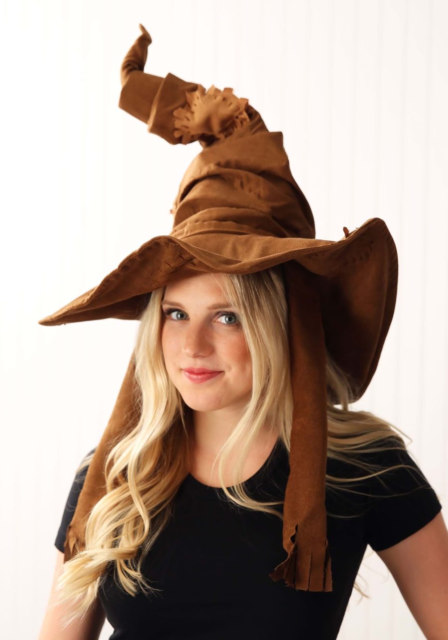 Harry Potter Costume Sorting Hat