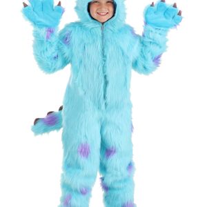 Hooded Monsters Inc Sulley Costume for Kids