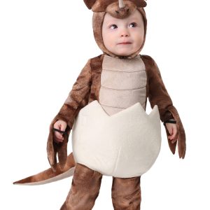 Infant Tiny Triceratops Dinosaur Costume