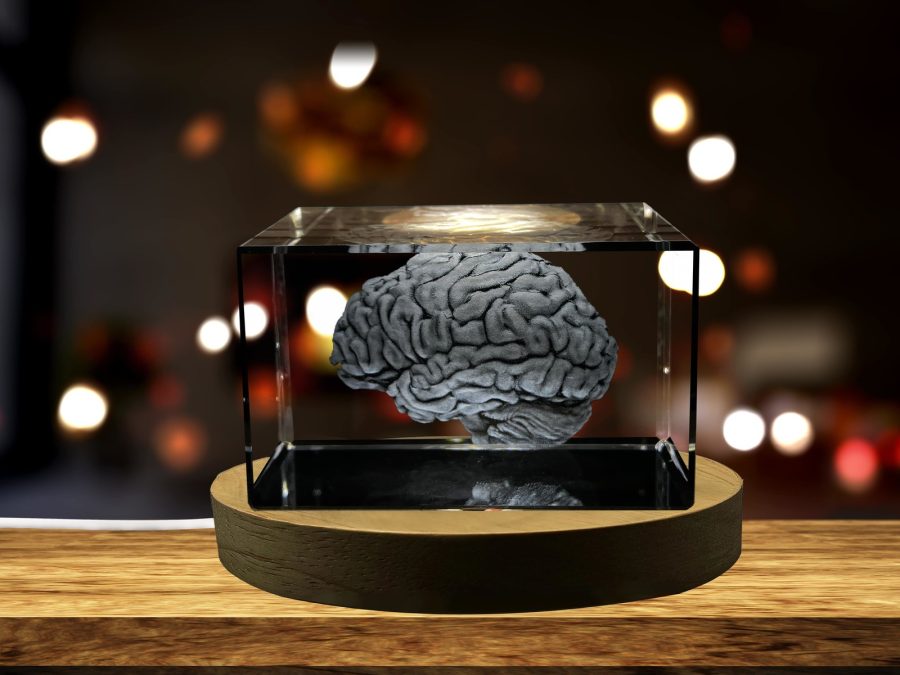 LED Base included | Brain Art | 3D Engraved Crystal Keepsake | Gift/Decor