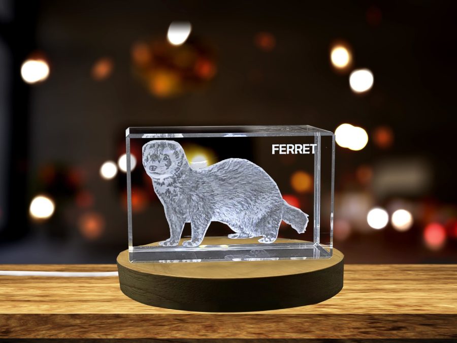 LED Base included | Ferret Crystal Art | Unique Crystals Carved with Playful