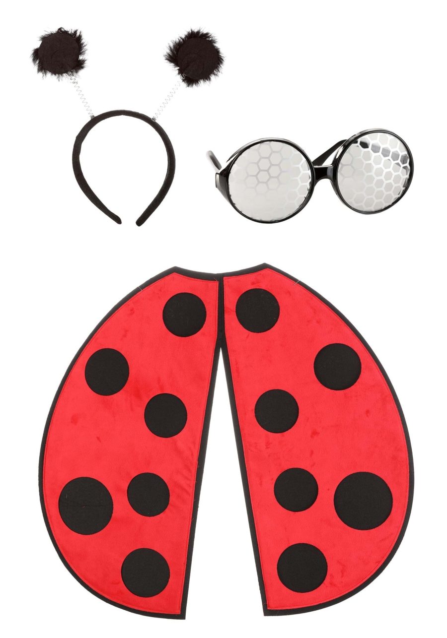 Ladybug Costume Kit