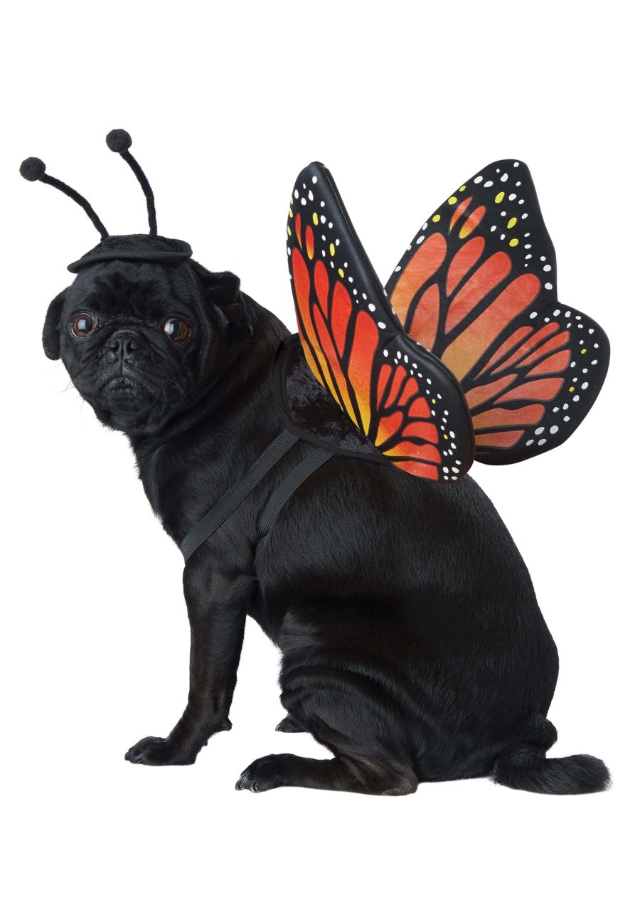 Monarch Butterfly Pet Costume