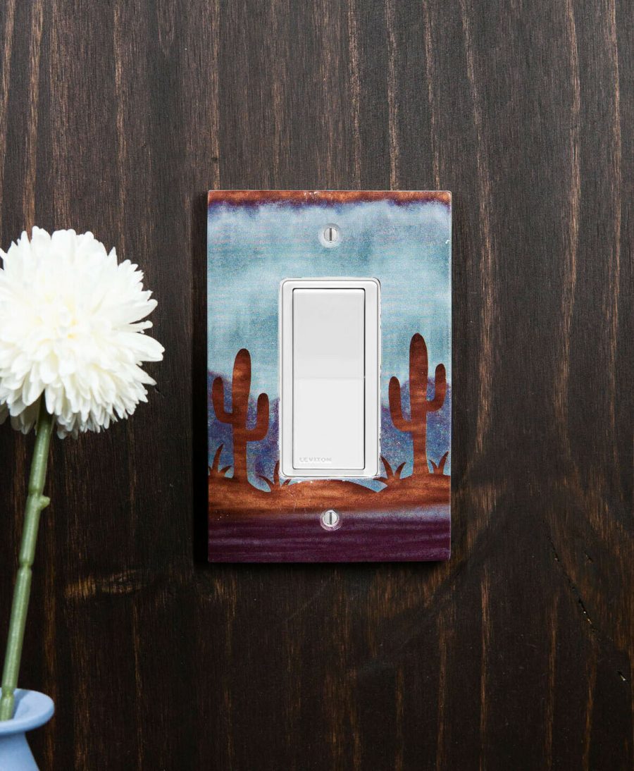 Pack of 2 Southwestern Desert Cactus Single Gang Rocker Switch Wall Plate Cover