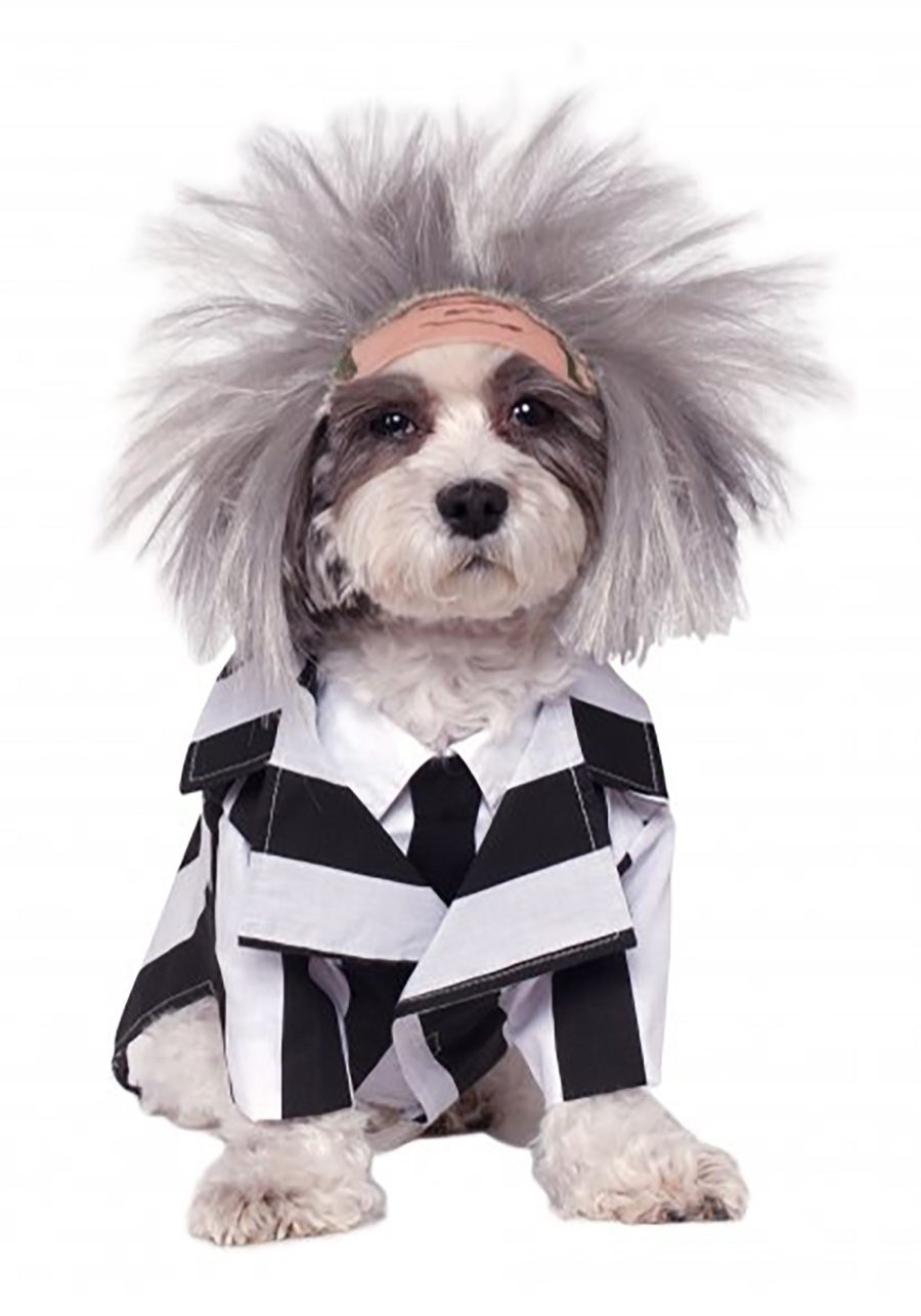 Pet Beetlejuice Costume