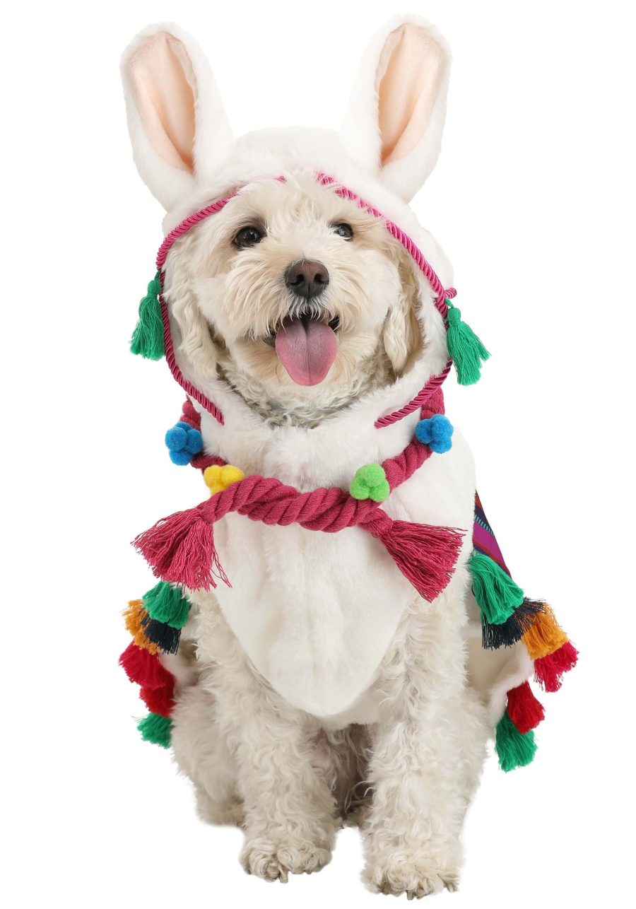 Pet Llama Costume