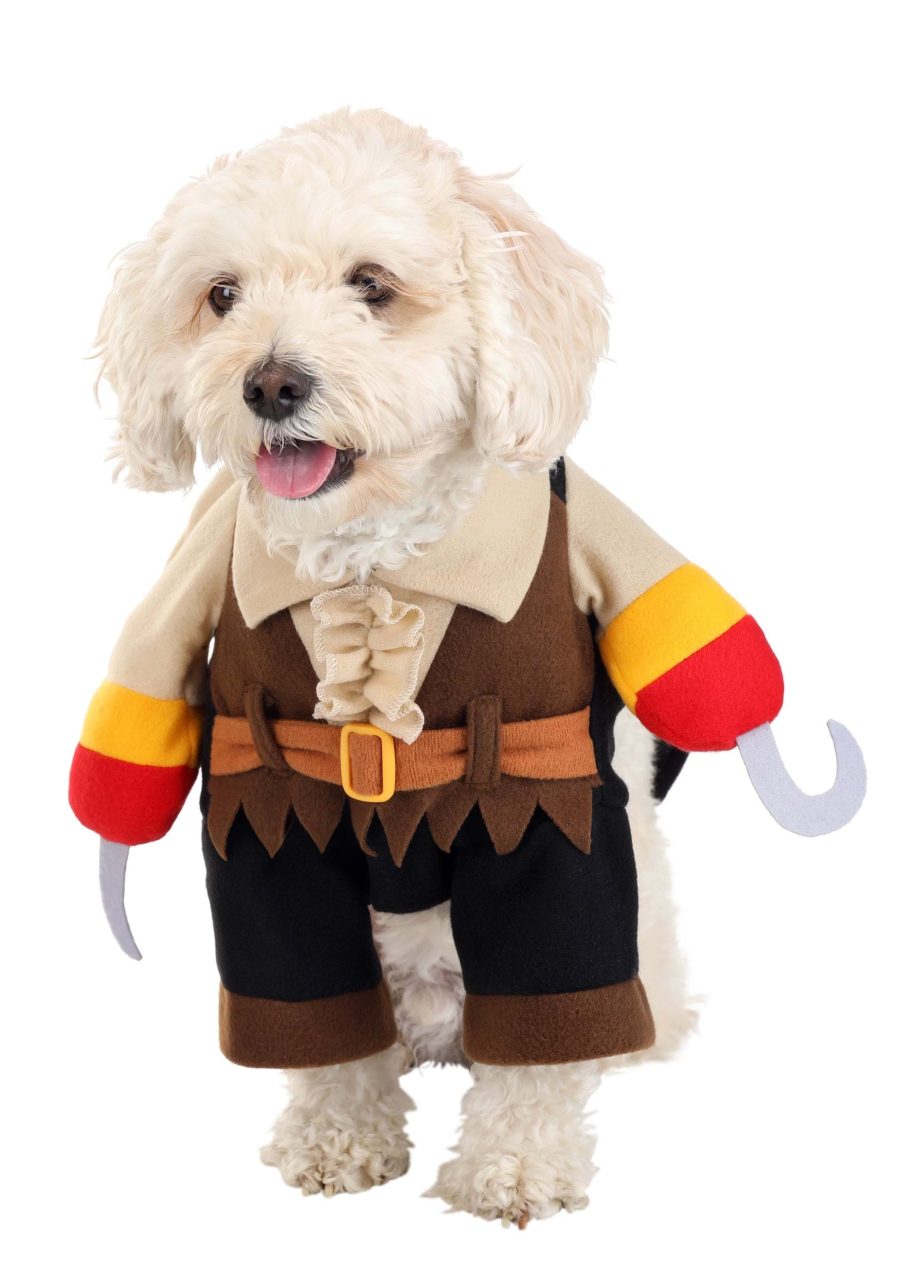 Pirate Pet Costume