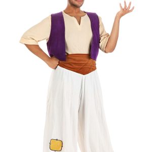 Plus Size Disney Aladdin Deluxe Men's Costume