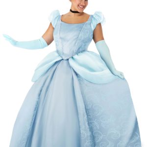 Plus Size Disney Premium Cinderella Costume for Women