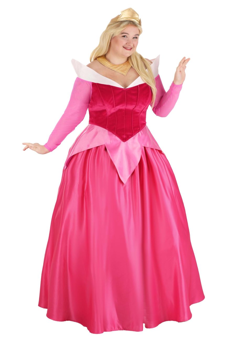 Plus Size Disney Sleeping Beauty Premium Aurora Costume