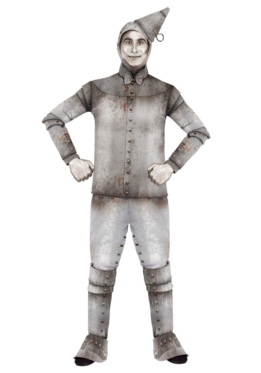 Plus Size Men's Tin Fellow Costume