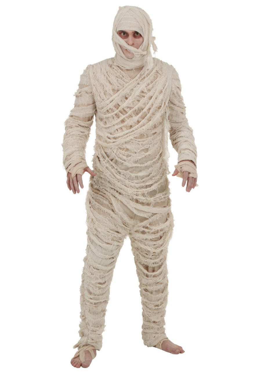 Plus Size Mummy Men's Costume