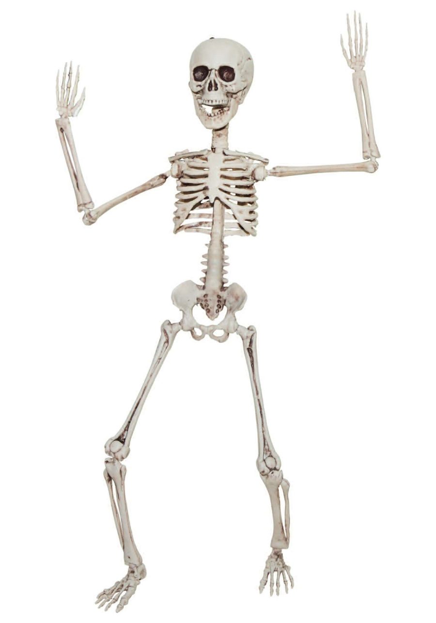 Poseable 20 Skeleton Decoration