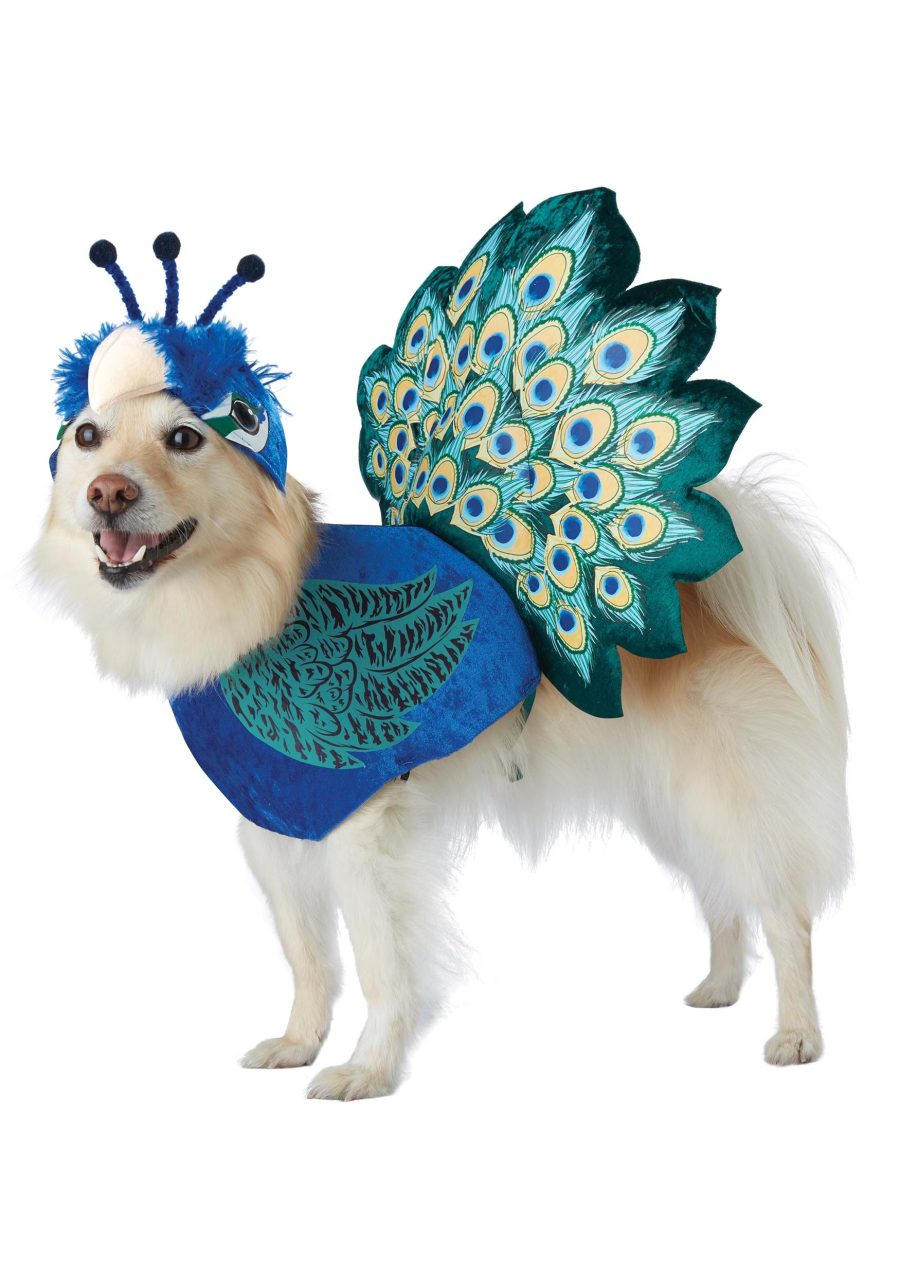 Pretty as a Peacock Pet Costume