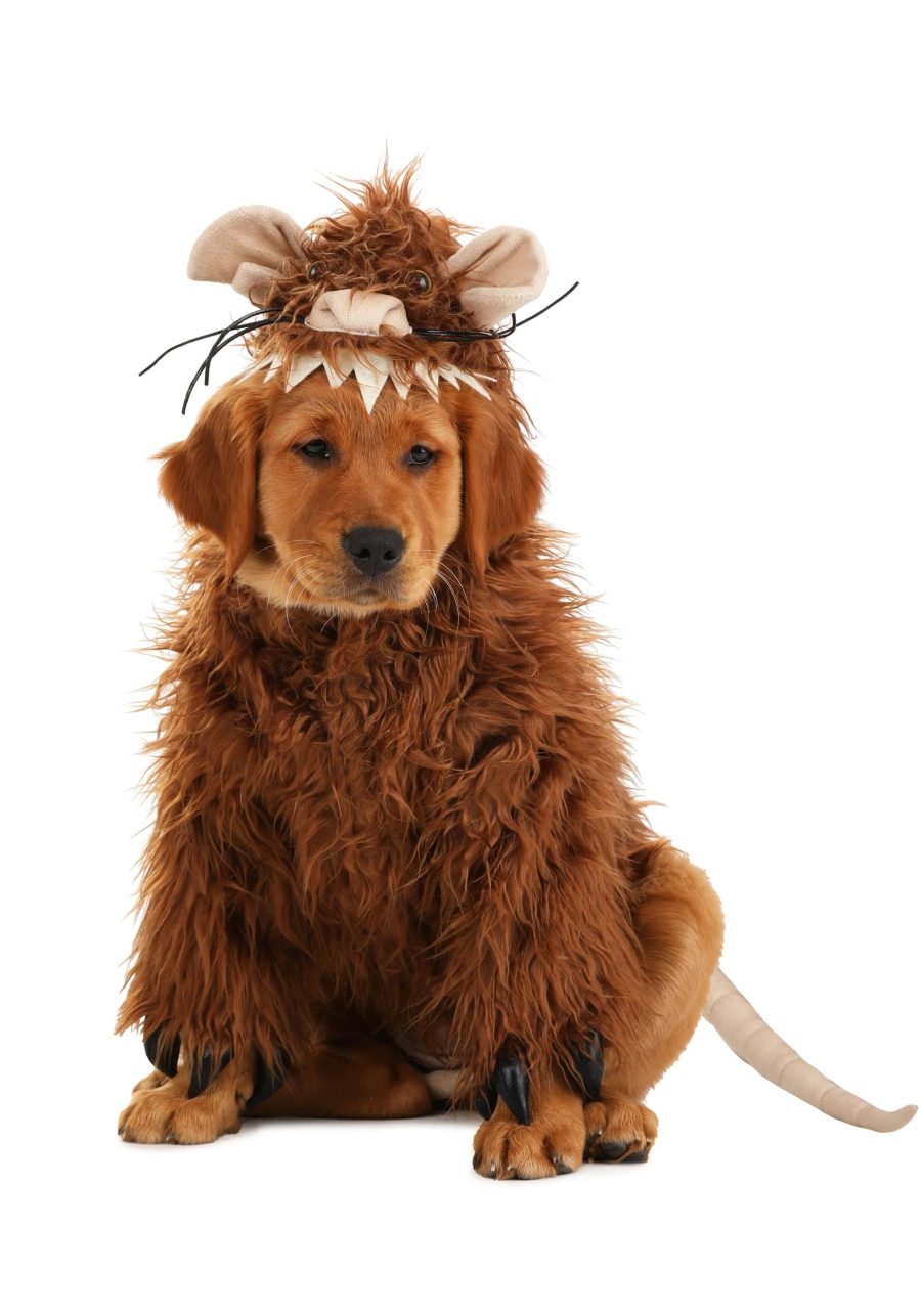 Princess Bride R.O.U.S. Pet Costume