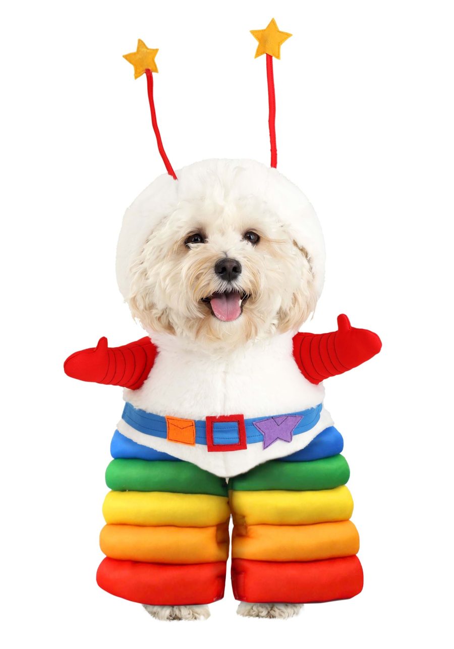 Rainbow Brite Sprite Pet Dog Costume