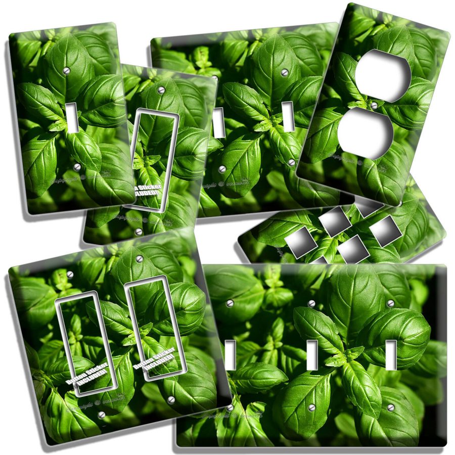 SWEET FRESH BASIL GREEN HERB LIGHT SWITCH OUTLET WALL PLATES HOME KITCHEN DECOR