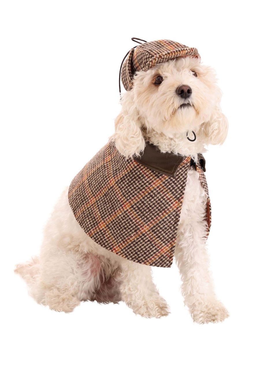 Sherlock Holmes Pet Costume