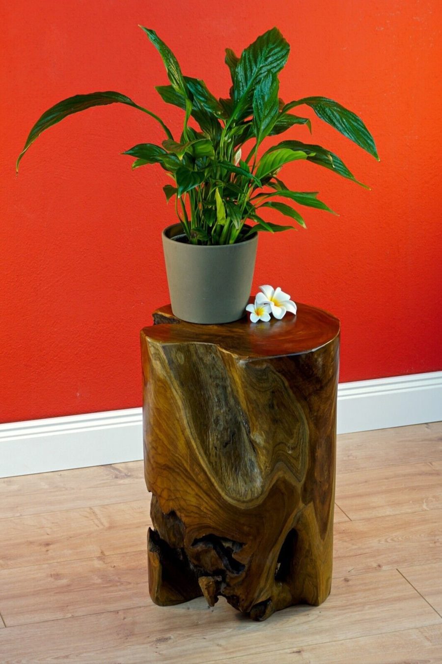 Side Table Wood Root Wood Teakwood Root Table Plant Stand Solid Nature